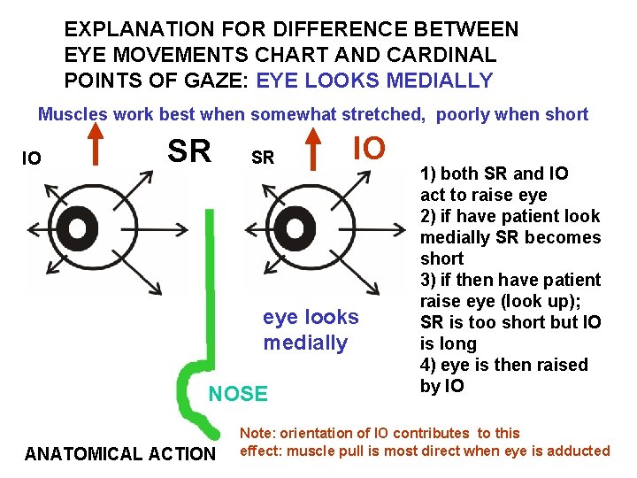 EXPLANATION FOR DIFFERENCE BETWEEN EYE MOVEMENTS CHART AND CARDINAL POINTS OF GAZE: EYE LOOKS