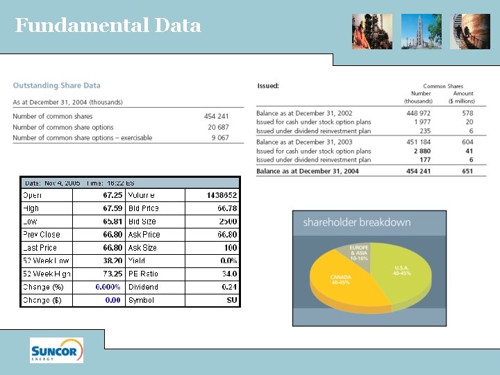 Fundamental Data 