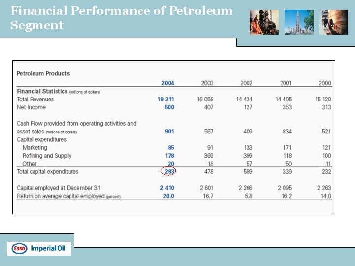 Financial Performance of Petroleum Segment 