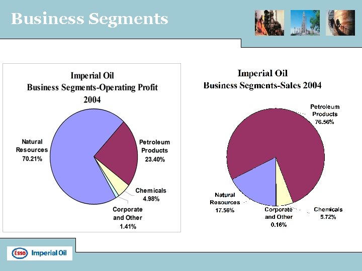 Business Segments 