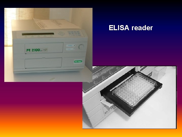 ELISA reader 