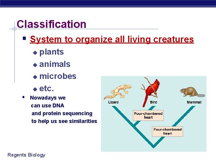 Classification System to organize all living creatures plants animals microbes etc. Nowadays we can