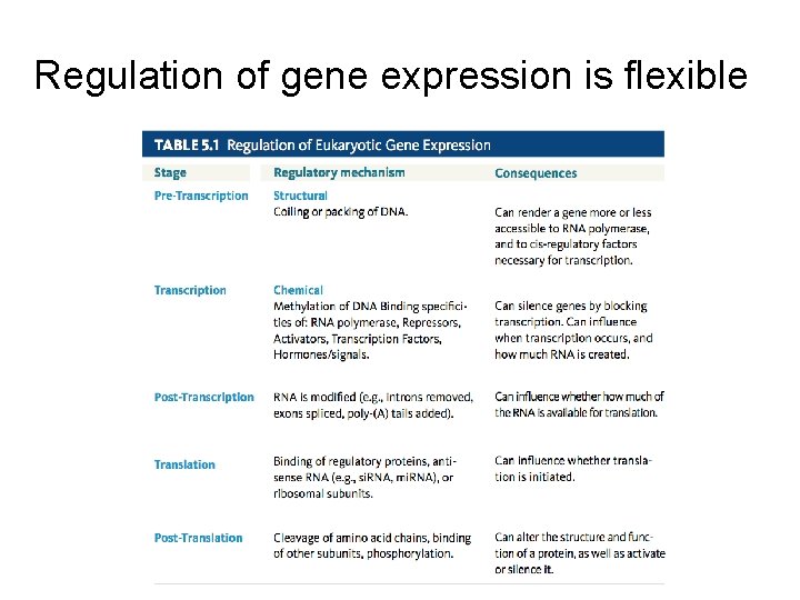 Regulation of gene expression is flexible 