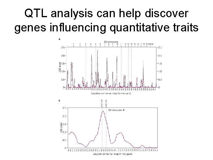 QTL analysis can help discover genes influencing quantitative traits 