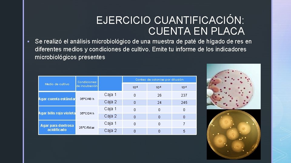 EJERCICIO CUANTIFICACIÓN: CUENTA EN PLACA § Se realizó el análisis microbiológico de una muestra