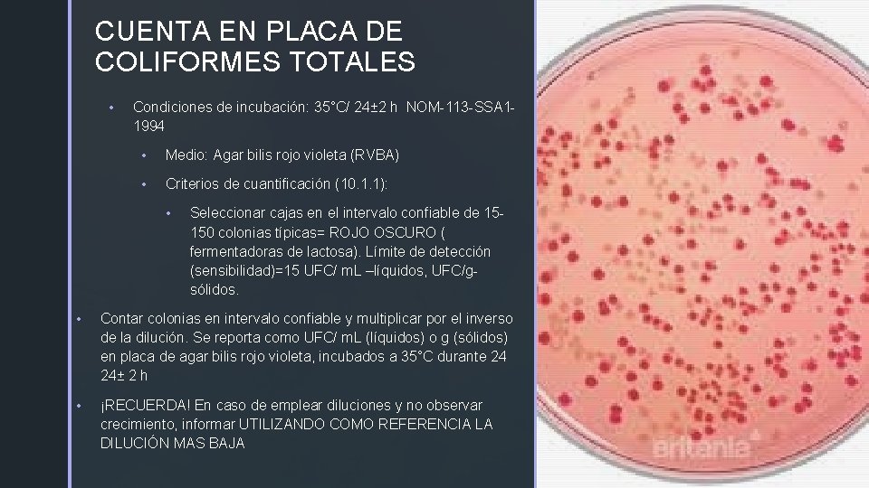 CUENTA EN PLACA DE z COLIFORMES TOTALES • Condiciones de incubación: 35°C/ 24± 2
