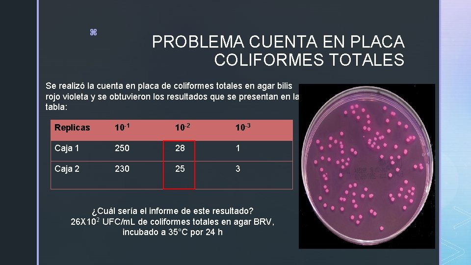 z PROBLEMA CUENTA EN PLACA COLIFORMES TOTALES Se realizó la cuenta en placa de
