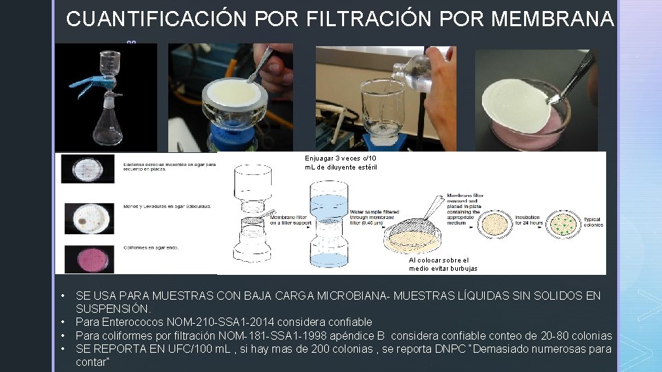 CUANTIFICACIÓN POR FILTRACIÓN POR MEMBRANA z Enjuagar 3 veces c/10 m. L de diluyente