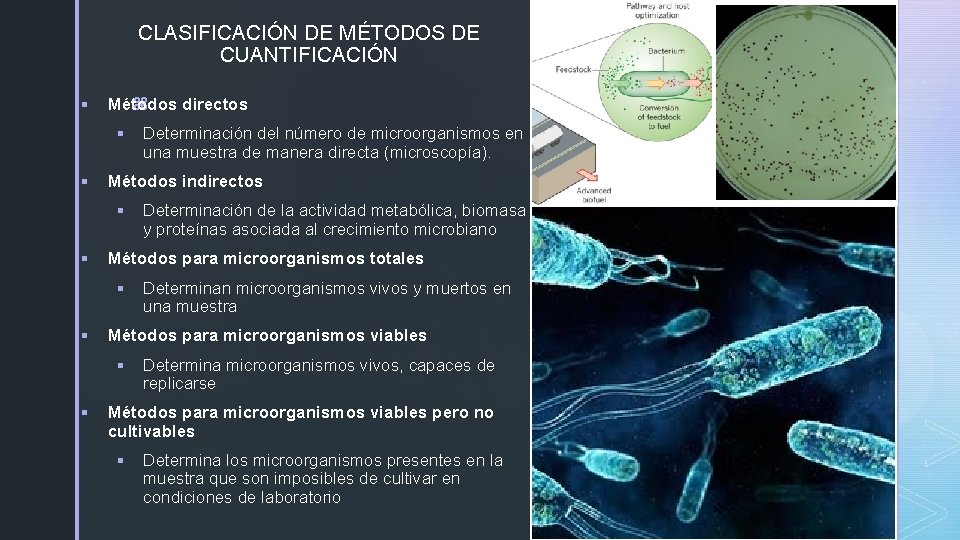 CLASIFICACIÓN DE MÉTODOS DE CUANTIFICACIÓN § z Métodos directos § § Métodos indirectos §