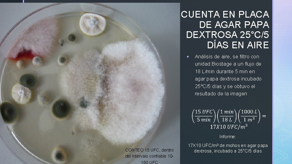 CUENTA EN PLACA DE AGAR PAPA DEXTROSA 25°C/5 DÍAS EN AIRE z § Análisis