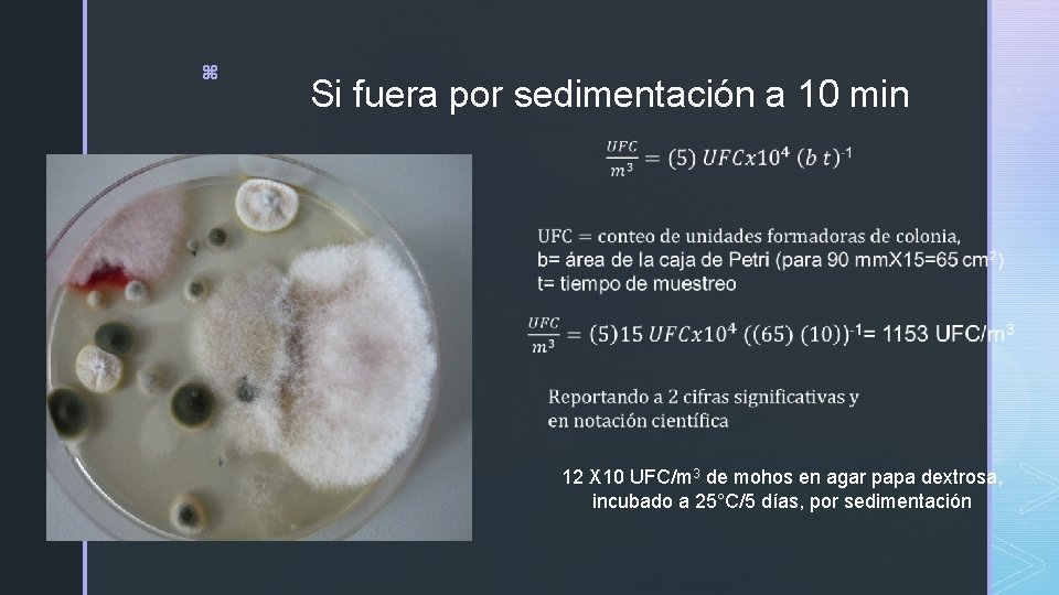 z Si fuera por sedimentación a 10 min 12 X 10 UFC/m 3 de