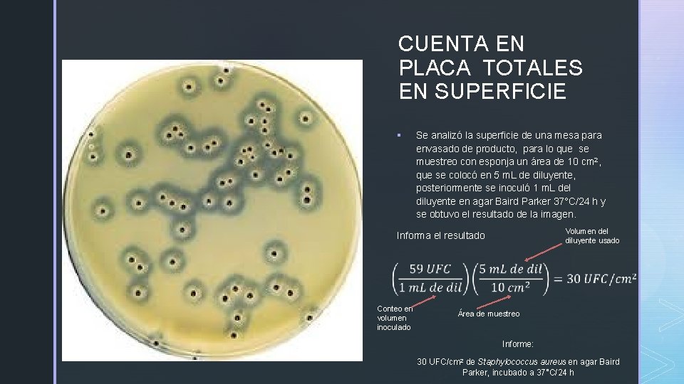 z CUENTA EN PLACA TOTALES EN SUPERFICIE § Se analizó la superficie de una