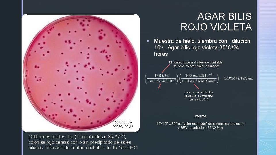 AGAR BILIS ROJO VIOLETA z § Muestra de hielo, siembra con dilución 10 -2.
