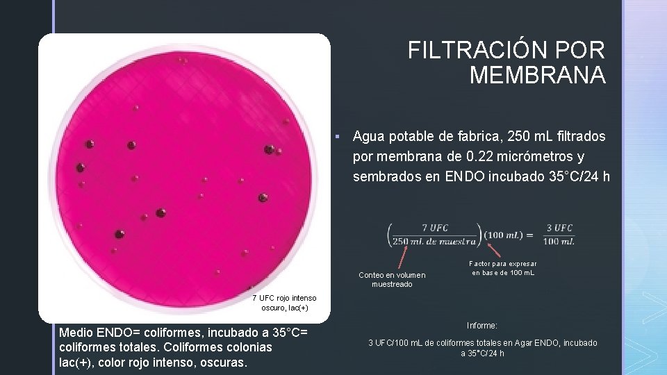 FILTRACIÓN POR MEMBRANA z § Agua potable de fabrica, 250 m. L filtrados por