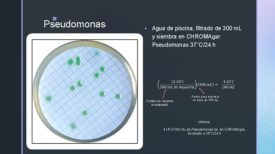 z Pseudomonas § Agua de piscina, filtrado de 300 m. L y siembra en