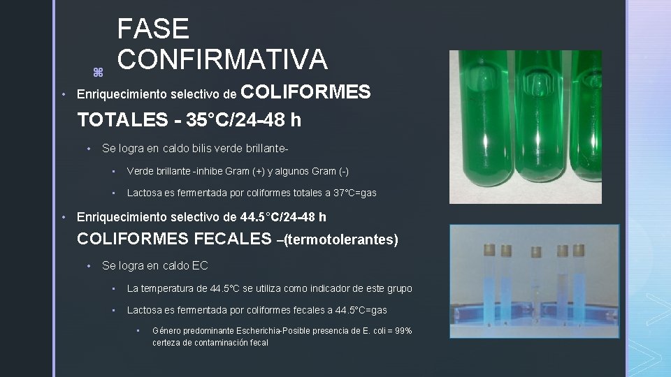 FASE CONFIRMATIVA z COLIFORMES TOTALES - 35°C/24 -48 h • Enriquecimiento selectivo de •
