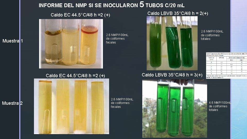INFORME DEL NMP SI SE INOCULARON Caldo LBVB 35°C/48 h = 2(+) Caldo EC