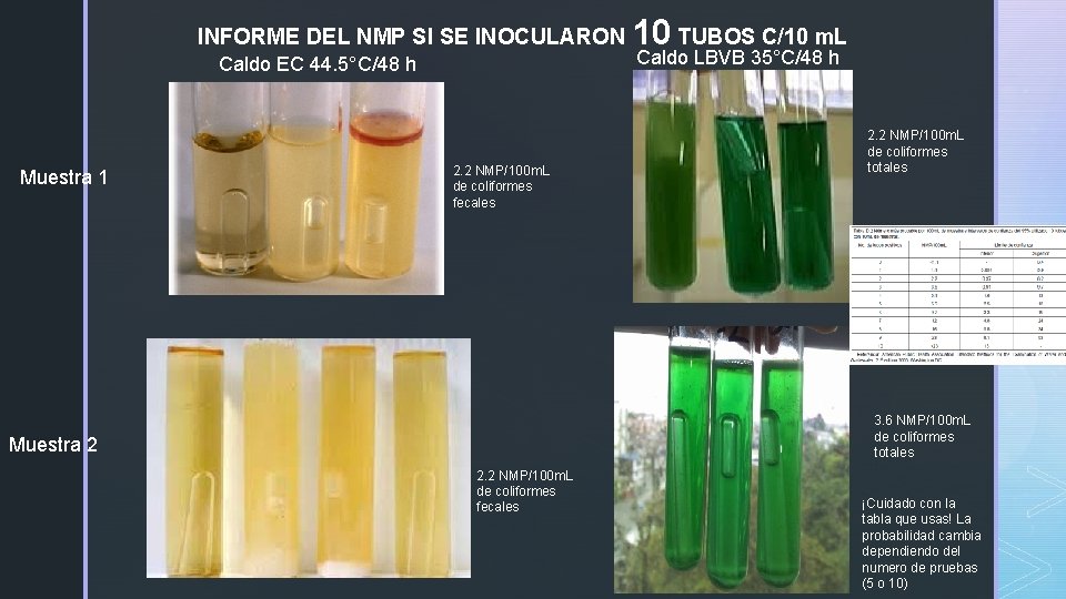 INFORME DEL NMP SI SE INOCULARON Caldo EC 44. 5°C/48 h Muestra 1 2.