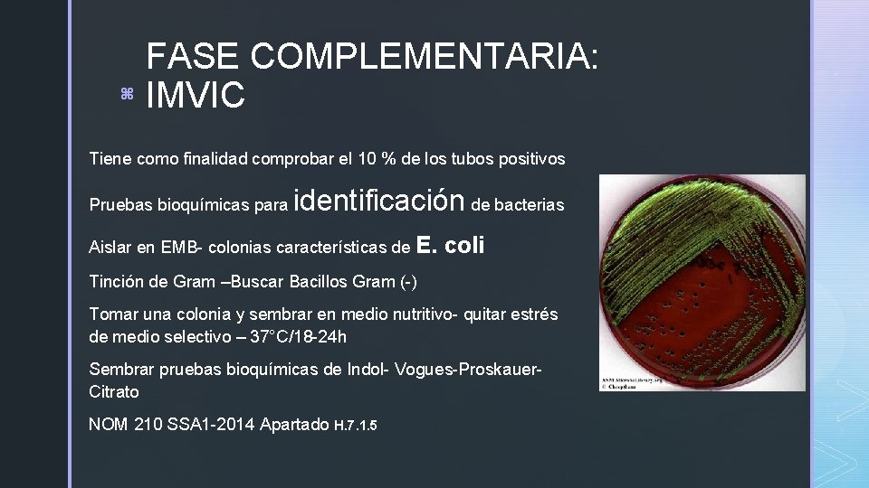 z FASE COMPLEMENTARIA: IMVIC Tiene como finalidad comprobar el 10 % de los tubos