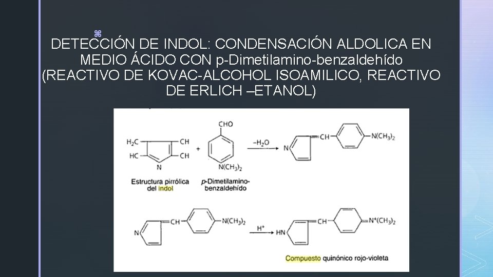 z DETECCIÓN DE INDOL: CONDENSACIÓN ALDOLICA EN MEDIO ÁCIDO CON p-Dimetilamino-benzaldehído (REACTIVO DE KOVAC-ALCOHOL