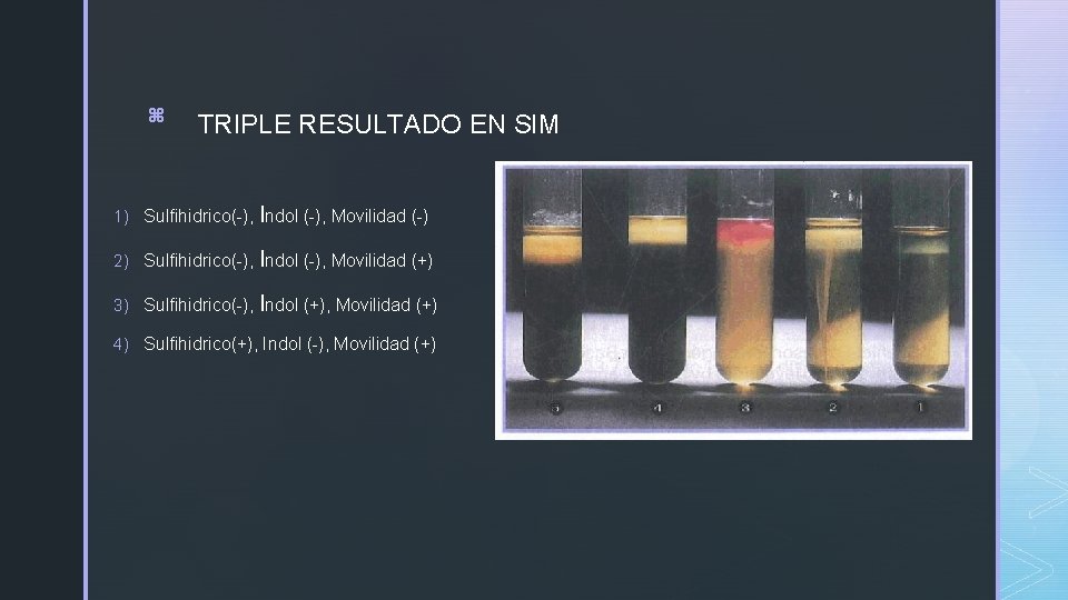 z TRIPLE RESULTADO EN SIM 1) Sulfihidrico(-), Indol (-), Movilidad (-) 2) Sulfihidrico(-), Indol