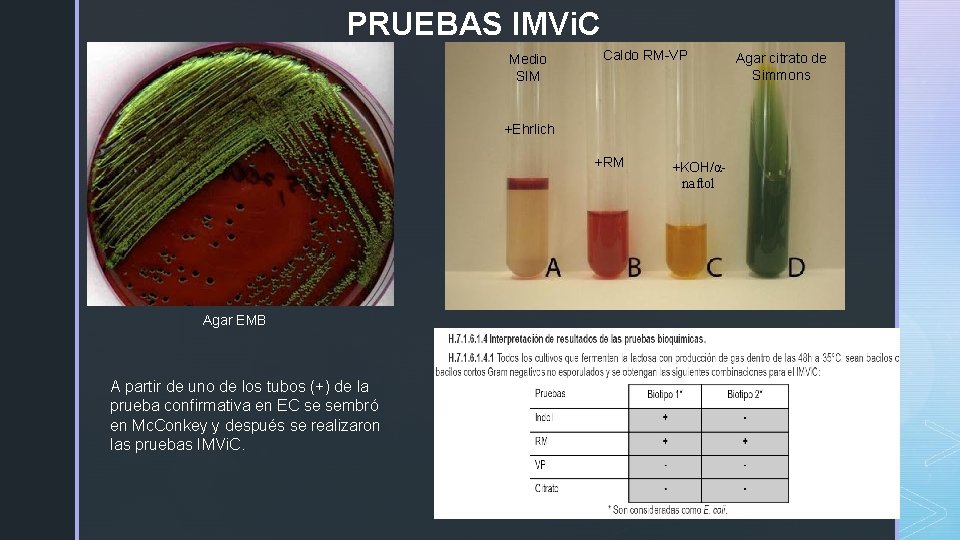 PRUEBAS IMVi. C Medio SIM Caldo RM-VP +Ehrlich +RM Agar EMB A partir de