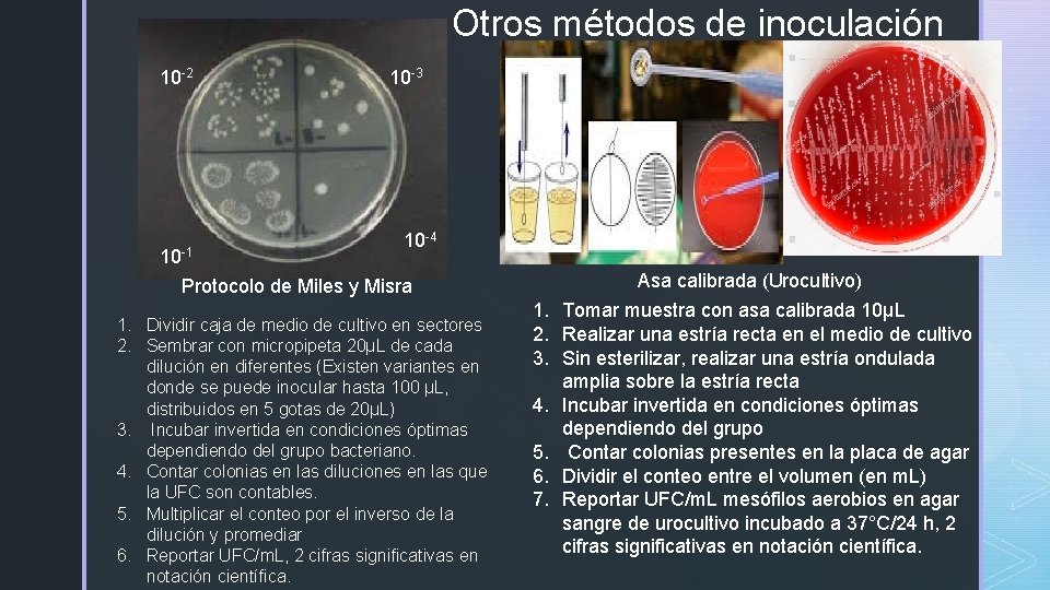 Otros métodos de inoculación 10 -2 z 10 -1 10 -3 10 -4 Protocolo