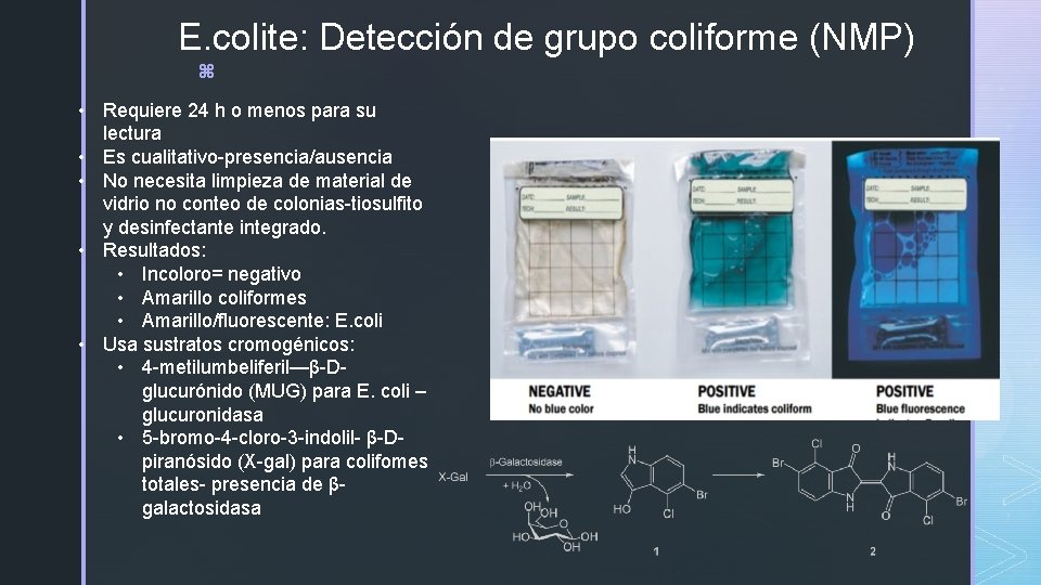 E. colite: Detección de grupo coliforme (NMP) z • Requiere 24 h o menos