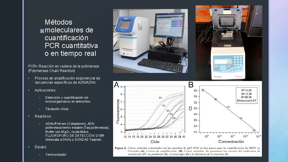 Métodos z moleculares de cuantificación PCR cuantitativa o en tiempo real PCR= Reacción en