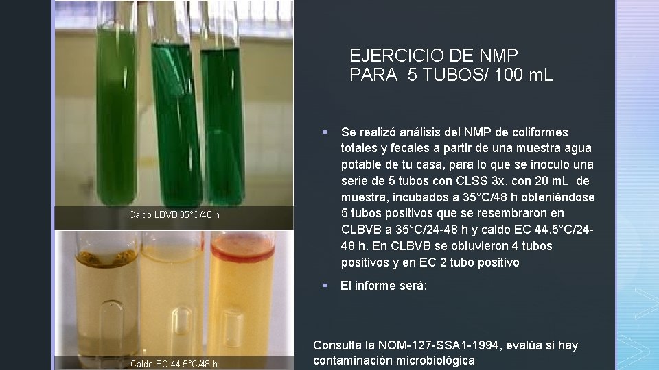 z EJERCICIO DE NMP PARA 5 TUBOS/ 100 m. L § Se realizó análisis