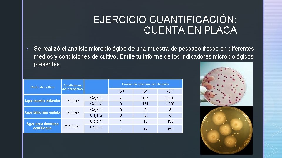 EJERCICIO CUANTIFICACIÓN: CUENTA EN PLACA § Se realizó el análisis microbiológico de una muestra