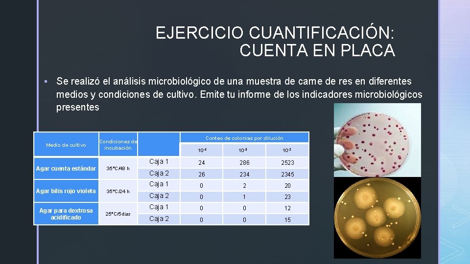 EJERCICIO CUANTIFICACIÓN: CUENTA EN PLACA § Se realizó el análisis microbiológico de una muestra