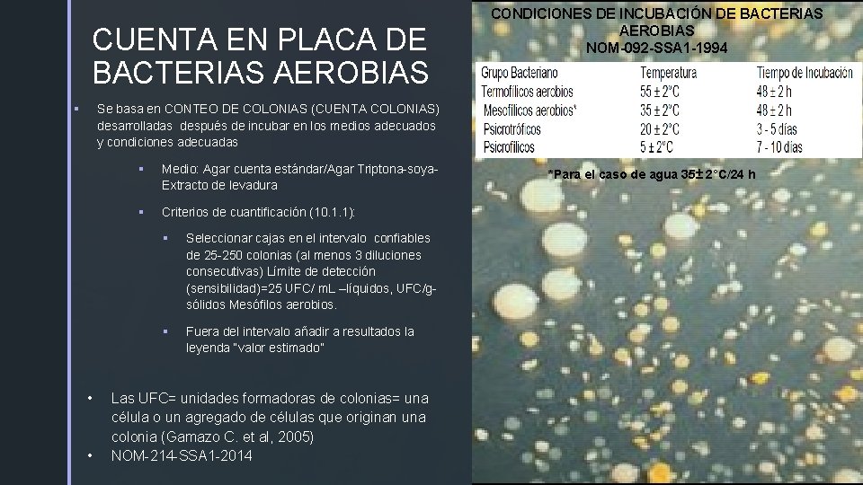 CUENTA EN PLACA DE z BACTERIAS AEROBIAS CONDICIONES DE INCUBACIÓN DE BACTERIAS AEROBIAS NOM-092