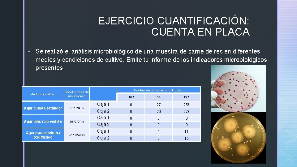 EJERCICIO CUANTIFICACIÓN: CUENTA EN PLACA § Se realizó el análisis microbiológico de una muestra