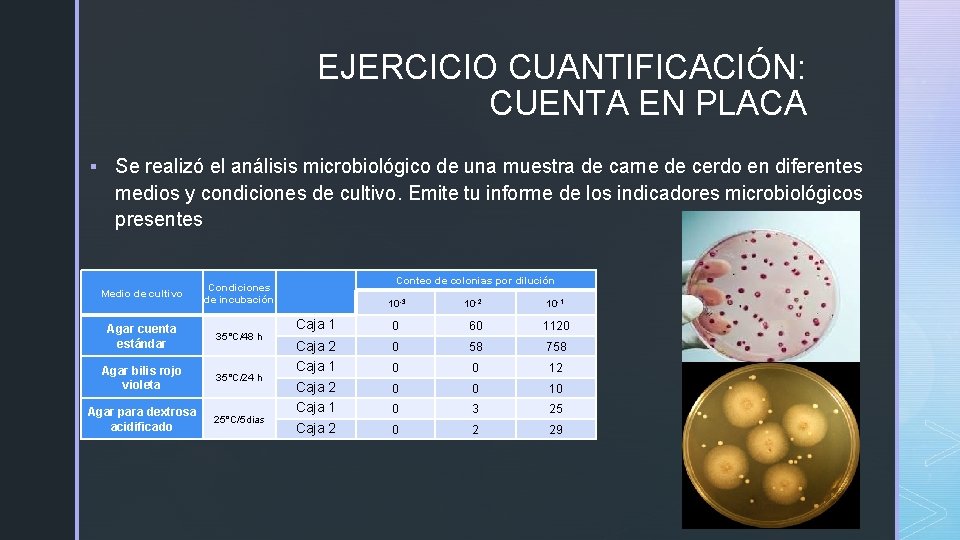 EJERCICIO CUANTIFICACIÓN: CUENTA EN PLACA § Se realizó el análisis microbiológico de una muestra