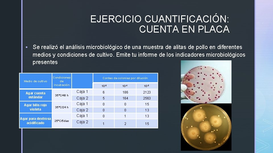 EJERCICIO CUANTIFICACIÓN: CUENTA EN PLACA § Se realizó el análisis microbiológico de una muestra