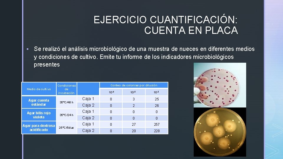 EJERCICIO CUANTIFICACIÓN: CUENTA EN PLACA § Se realizó el análisis microbiológico de una muestra