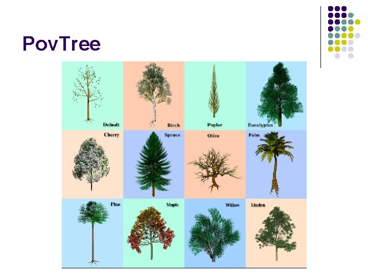 Pov. Tree 