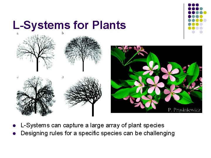 L-Systems for Plants l l L-Systems can capture a large array of plant species