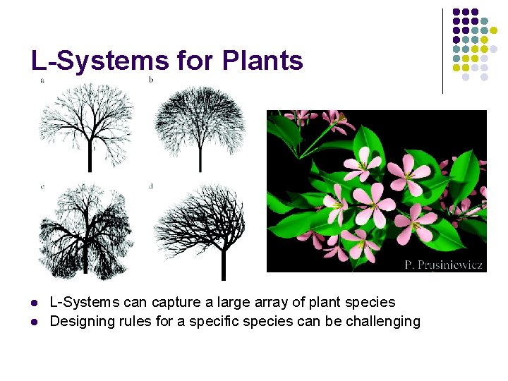 L-Systems for Plants l l L-Systems can capture a large array of plant species L-Systems for Plants l l L-Systems can capture a large array of plant species