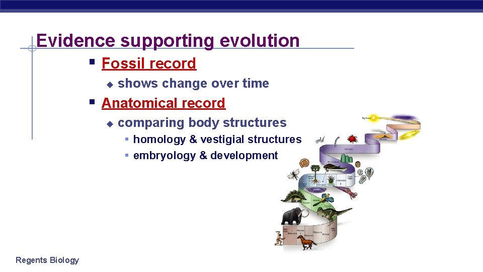 Evidence supporting evolution § Fossil record u shows change over time § Anatomical record