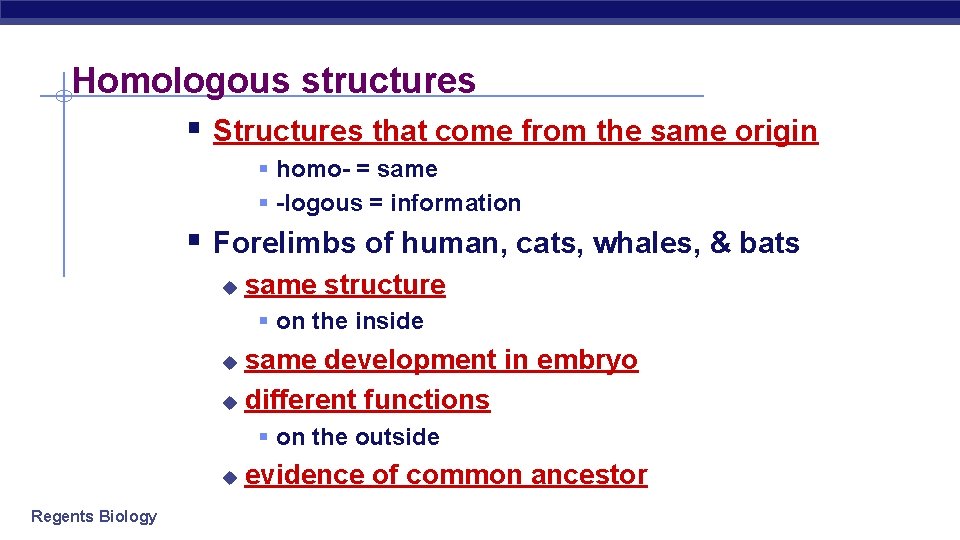 Homologous structures § Structures that come from the same origin § homo- = same