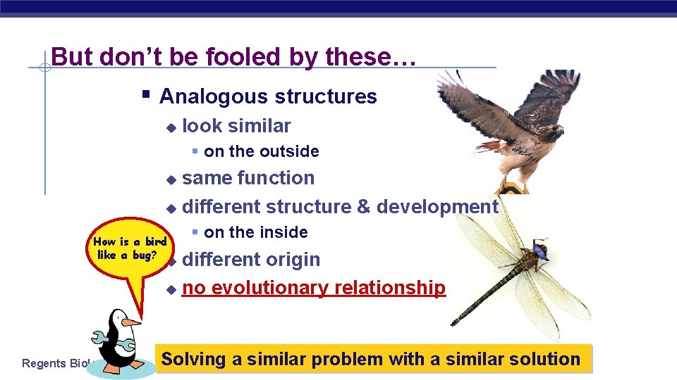 But don’t be fooled by these… § Analogous structures u look similar § on