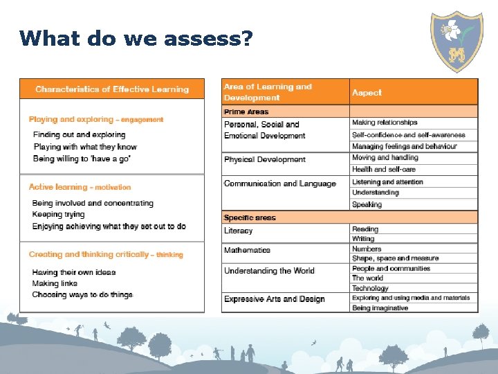 What do we assess? 
