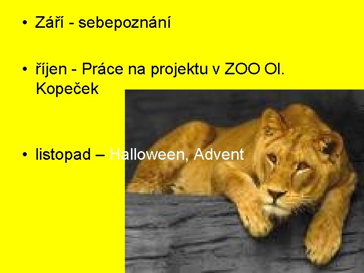  • Září - sebepoznání • říjen - Práce na projektu v ZOO Ol.