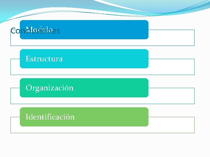 Modelo Conclusiones Estructura Organización Identificación 