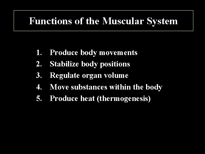 Functions of the Muscular System 1. 2. 3. 4. 5. Produce body movements Stabilize
