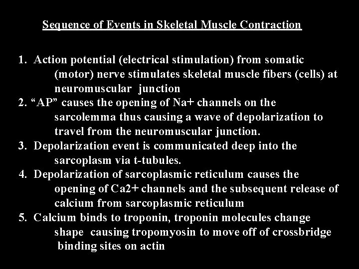 Sequence of Events in Skeletal Muscle Contraction 1. Action potential (electrical stimulation) from somatic