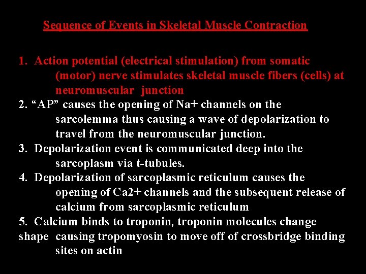 Sequence of Events in Skeletal Muscle Contraction 1. Action potential (electrical stimulation) from somatic