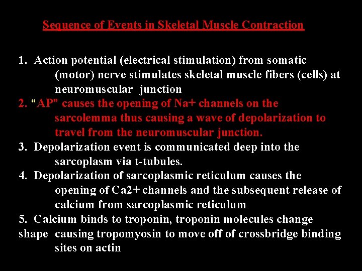 Sequence of Events in Skeletal Muscle Contraction 1. Action potential (electrical stimulation) from somatic